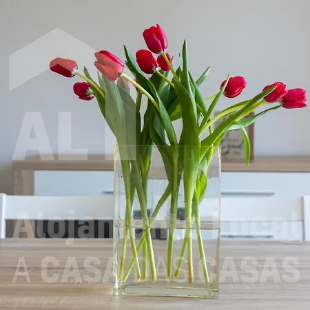 Casa Sardine By Acasadascasas Ericeira